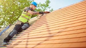 Best Roof Maintenance and Cleaning  in Ozark, MO