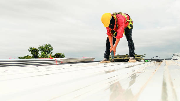 Best Skylight Installation and Repair  in Ozark, MO
