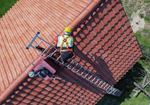 Best Roof Insulation Installation  in Ozark, MO